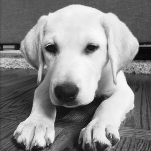 Meet your Posher, Alison